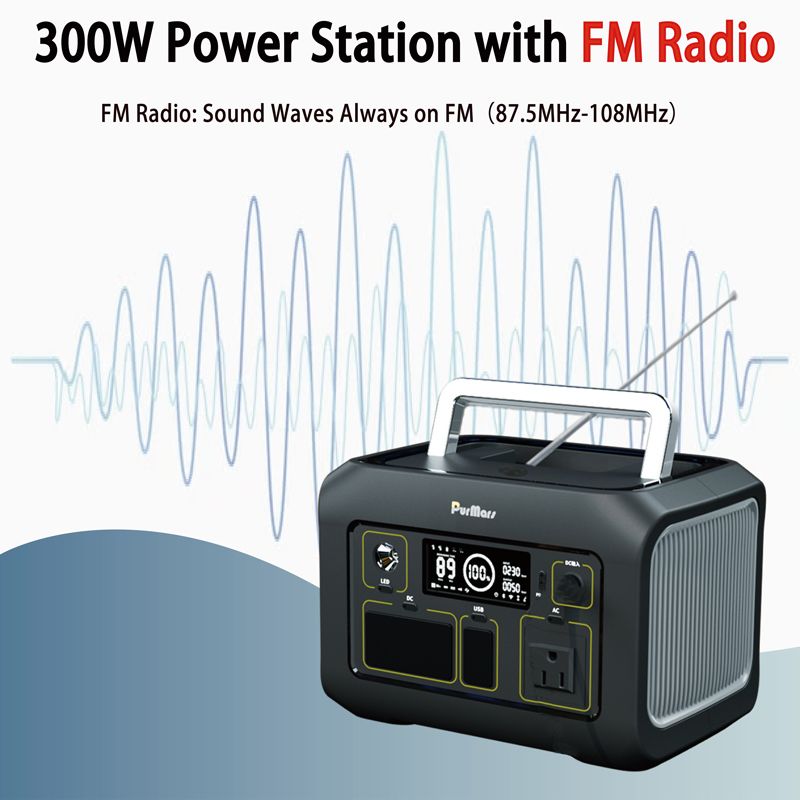 Tragbare Power Station P300 plus|300 W|Kompresse & Thermometer