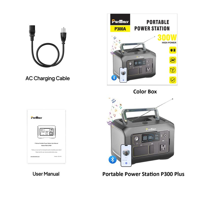 Tragbare Power Station P300 plus|300 W|Kompresse & Thermometer