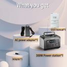 Tragbare Power Station P300 plus|300 W|Kompresse & Thermometer