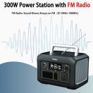 Tragbare Power Station P300 plus|300 W|Kompresse & Thermometer