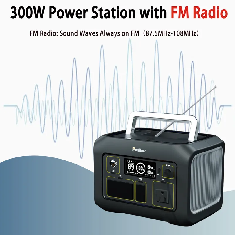 Tragbare Power Station P300 plus|300 W|Kompresse & Thermometer