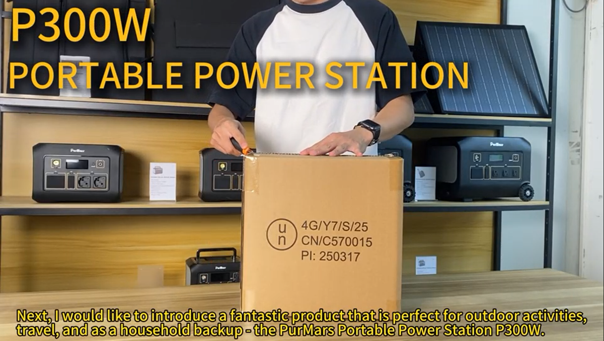 TragbarePower Station P300|300 W