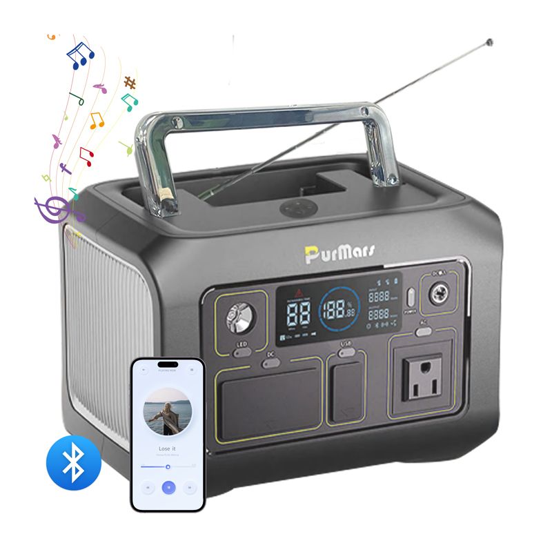 Tragbare Power Station P300 plus|300 W|Kompresse & Thermometer